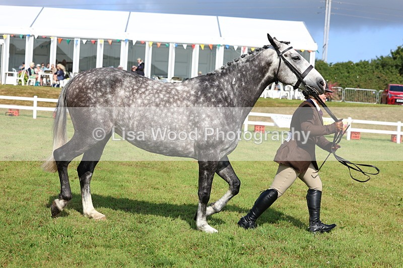 3E7A9096 - Class 3: Rising Star S/L Hunter