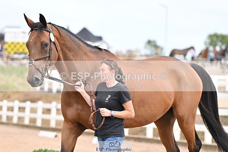 250716-150415-01612 - Trot Up 2.30 to 3.30