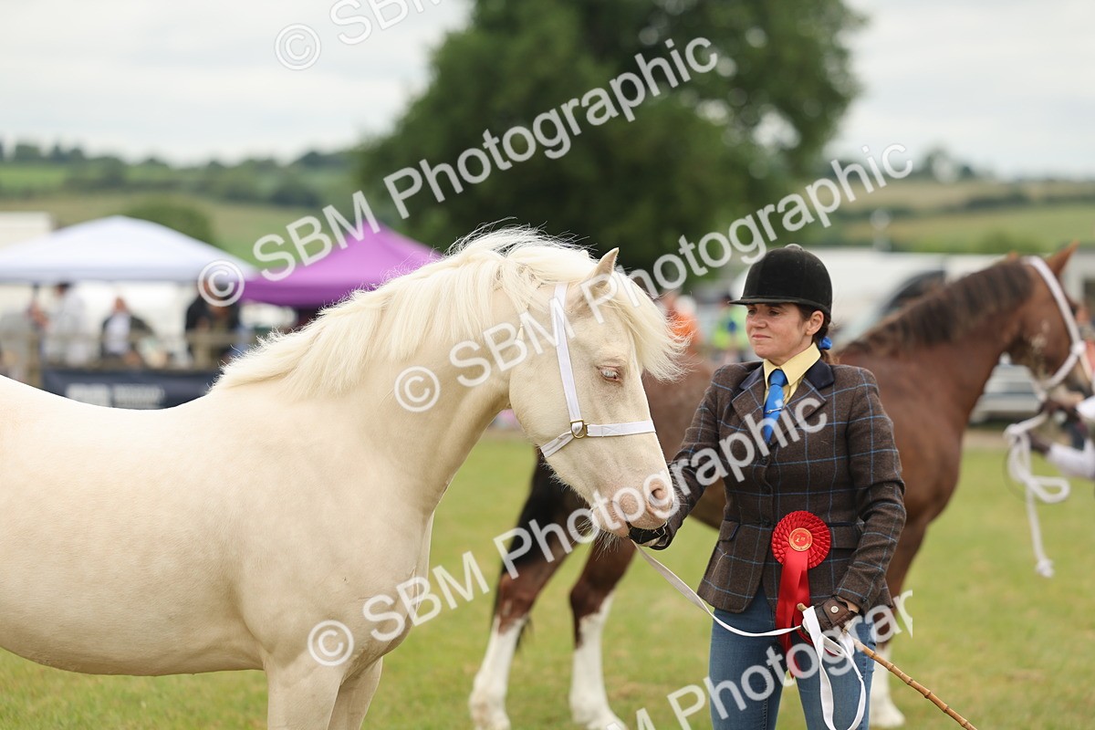 SBM_02425 - Class 50-57 - M&M Welsh Pony In Hand