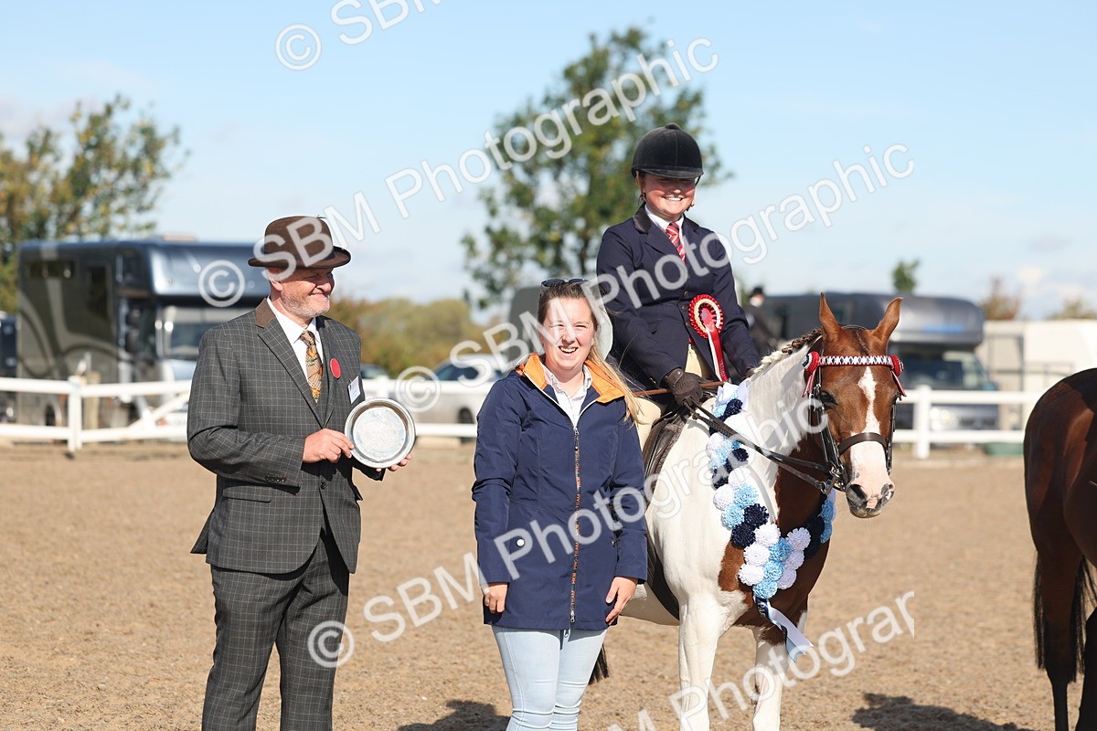 SBM_12397 - Class 304 - Ridden part Bred Horse Pony