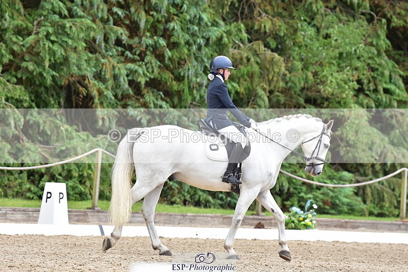 250719A-153704-06902 - 024-Neve.Moran-Clareville.Golden.Knight