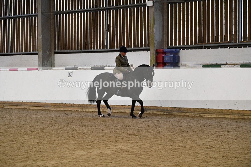 WJ5_7679 - Class 13 Ridden Part Breed