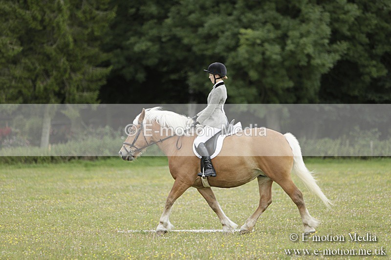 BVR160717-676 - Class 1 & 23a Dressage 16/07/17