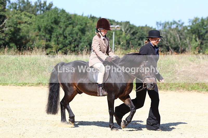 3E7A8066 - Class 15: Lead Rein