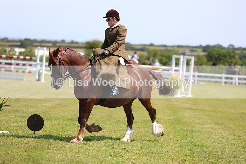 3E7A9648 - Class 13: Side Saddle