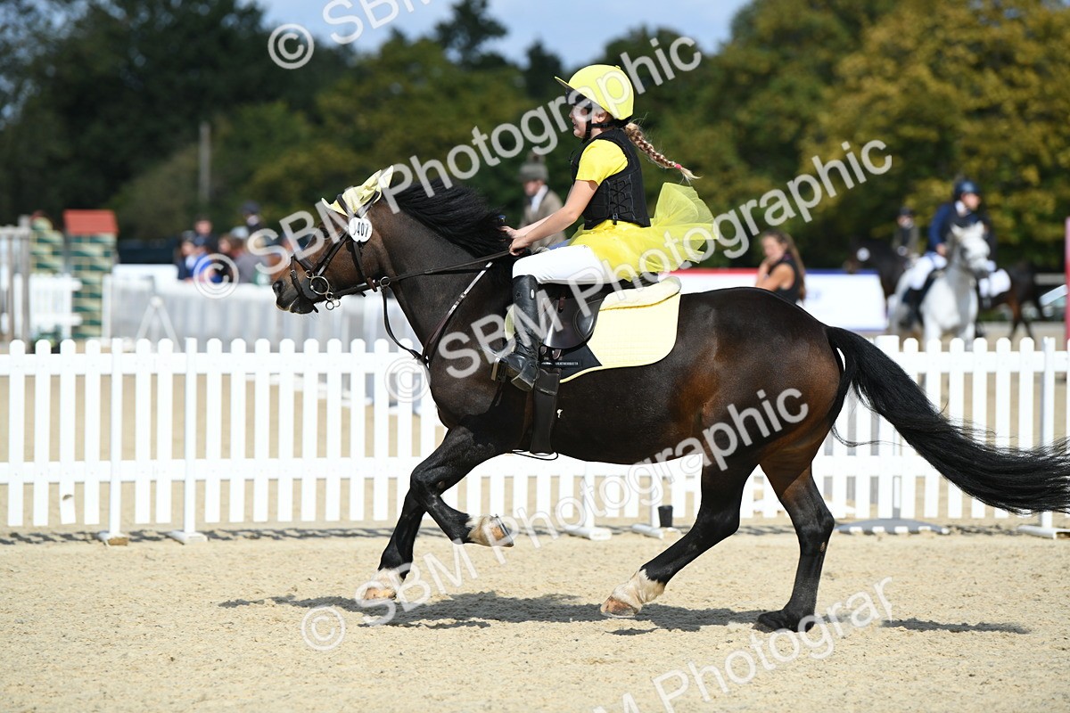 SBM_64775 - J48 - Pairs Jumping Open 70cm & 85cm