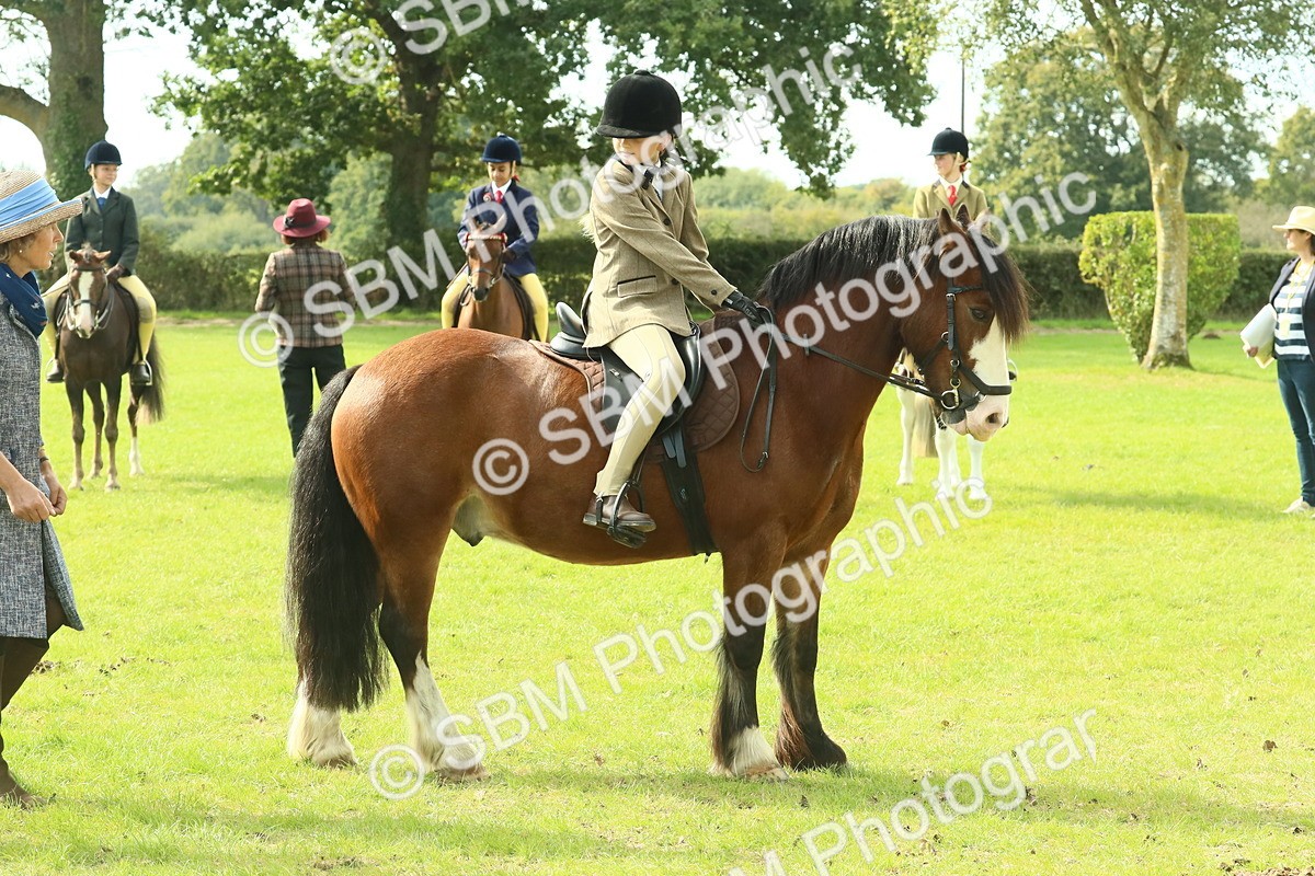 SBM_69038 - S58 - Mini Show Cob Ridden