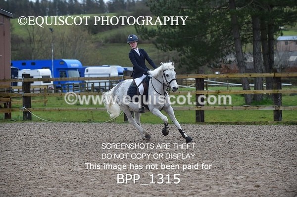 BPP_1315 - CLASS 5 Pony BritiNovice / 0.80m Open