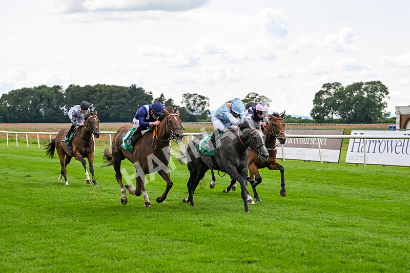 170724-Race 4-Bobby Bennu-0120 - Race 4