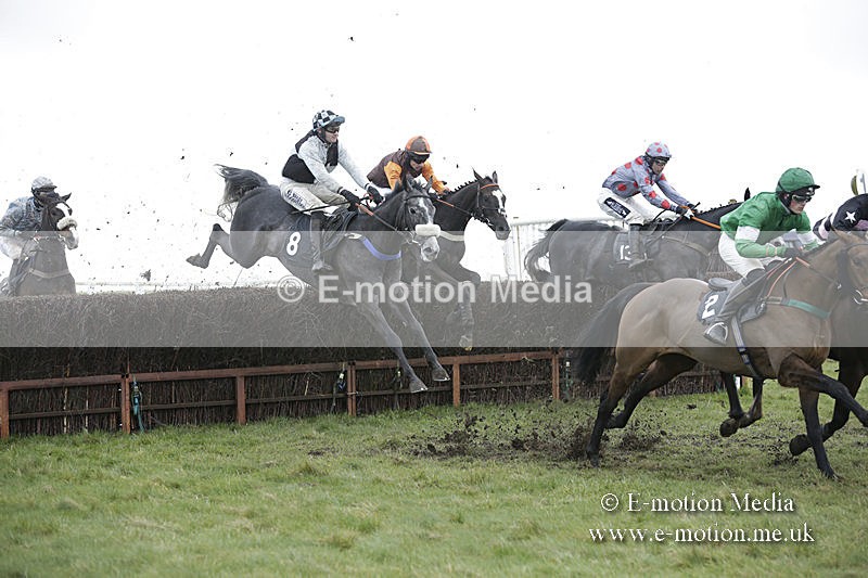 PtP 150320 0487 - New Forest Point-to-Point Larkhill 15/03/20