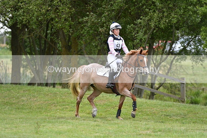 WJ5_2500 - Class 2 40cm