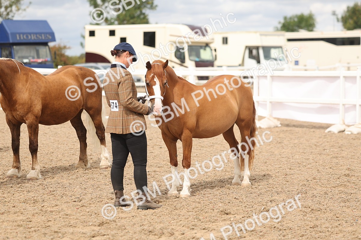 SBM_05013 - Class 20 - IH Veteran