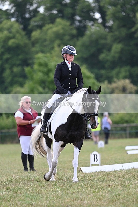 WJ7_5242 - Time 11:22 to 11:51