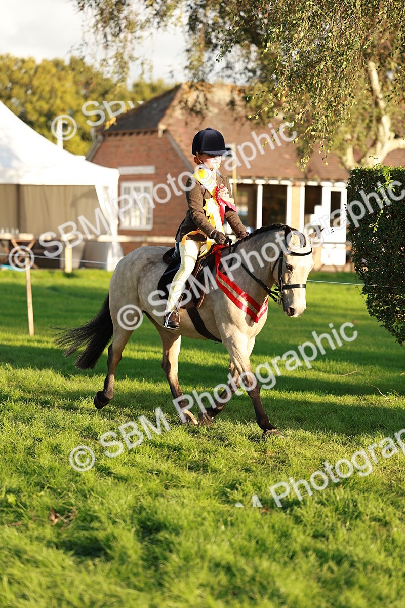 SBM_29343 - Novice & newcomer Supreme Championship