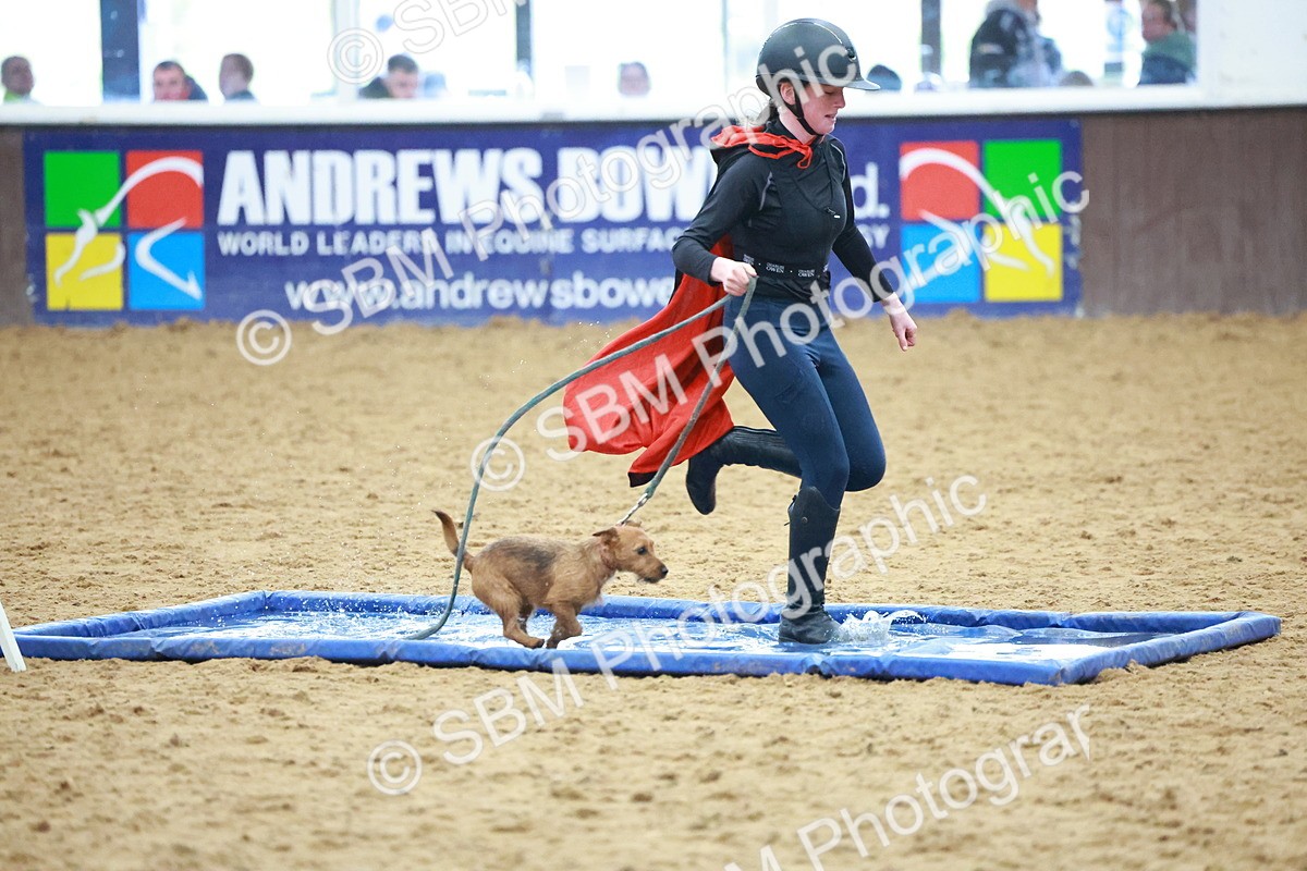 SBM_001546 - Class 3 - Horse & Hound (60cm)