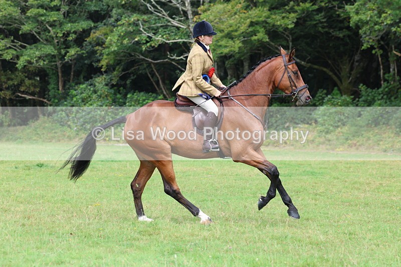 3E7A6212 - Working Hunter Championship