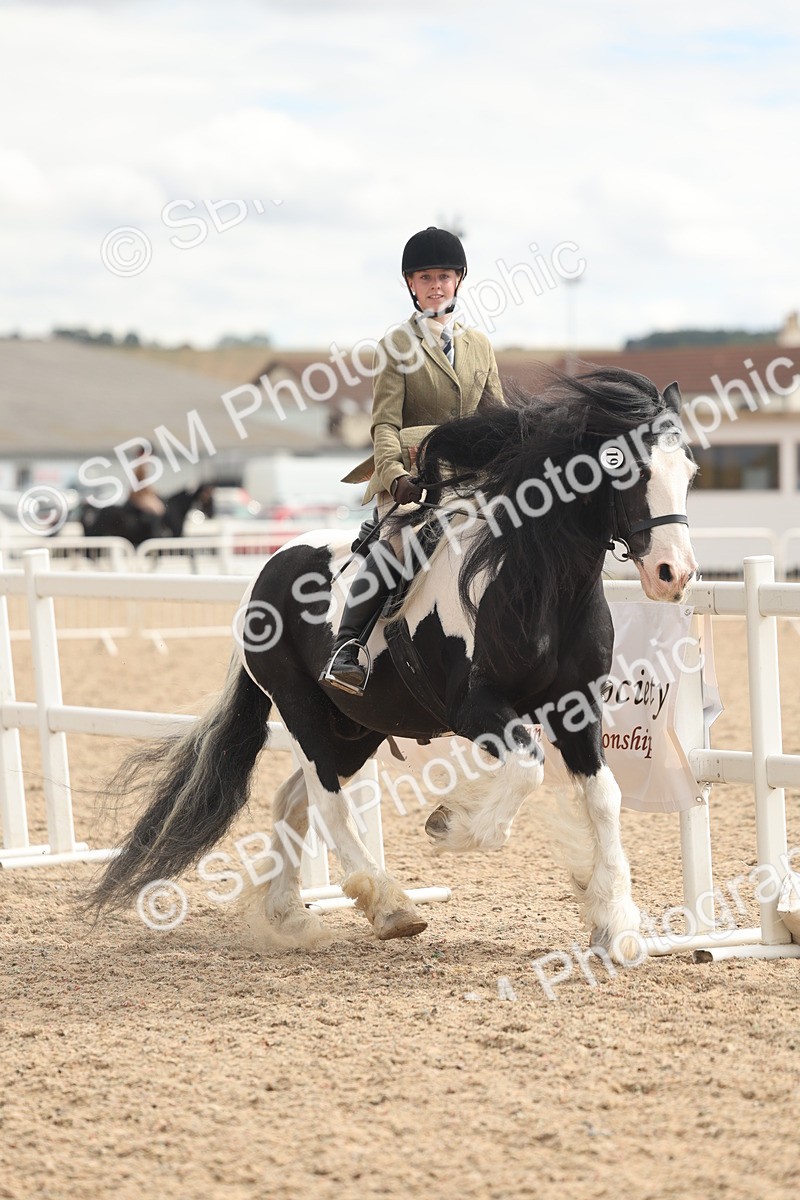 SBM_18003 - Class 314 - Family Horse Pony
