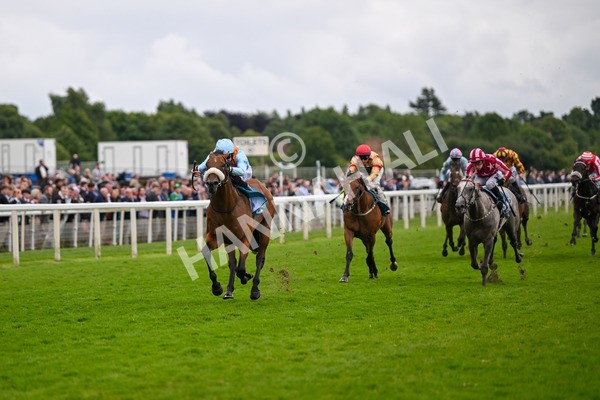 150624-Race 5-The Strikin Viking-7637 - Race 5 4.10pm Reg Griffin Appreciation ebfstallions.com Maiden Stakes