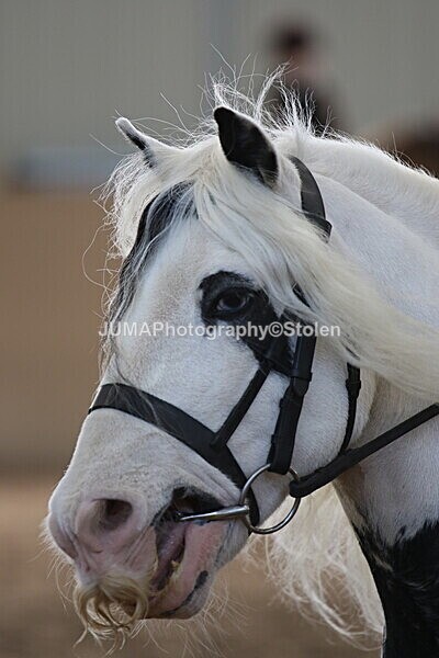 SIAL0756 - Indoor Classes