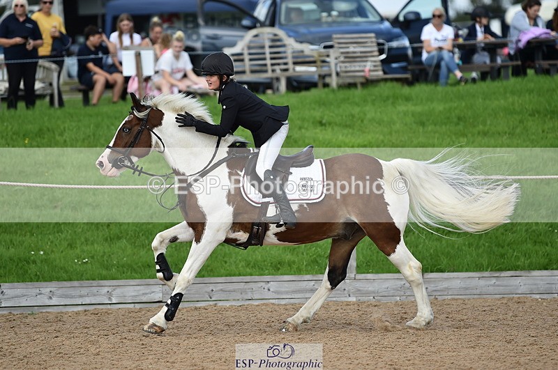 230902A-142704-01752 - Cls 3B Pony Medium 90cm