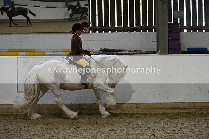 WJ7_3868 - Class 17 Ridden Cob