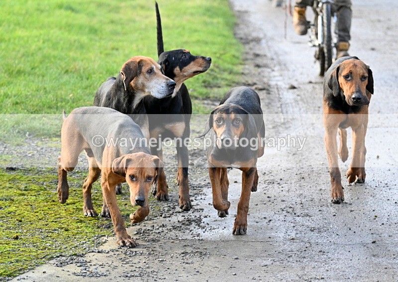 WJ7_9764 - Berks & Bucks Lead Rein - Hendred House 22-12-14