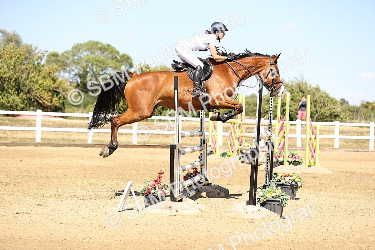 SBM_015313 - Class 16 - Senior foxhunter - 1.20m Open