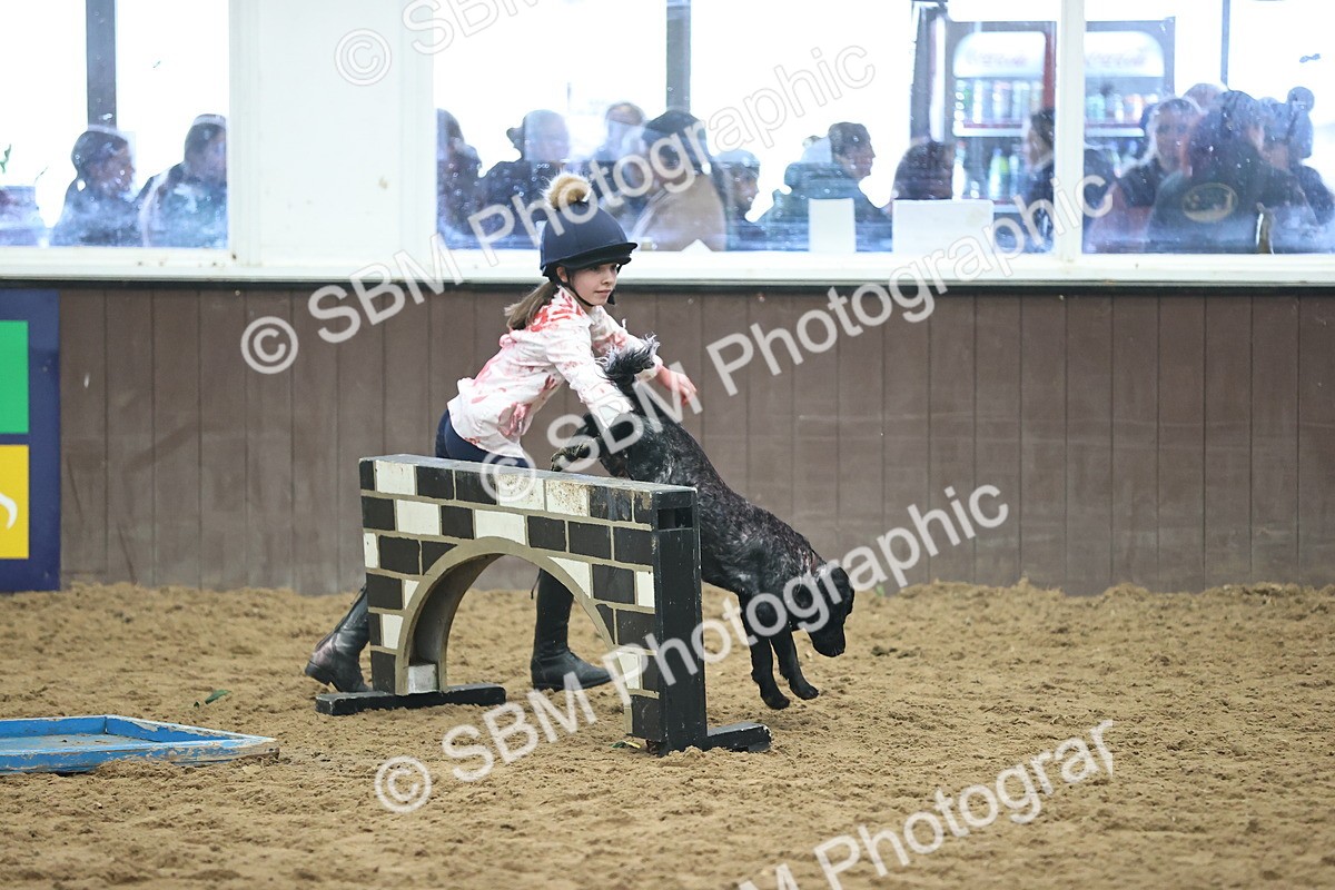 SBM_001440 - Class 3 - Horse & Hound 60cm
