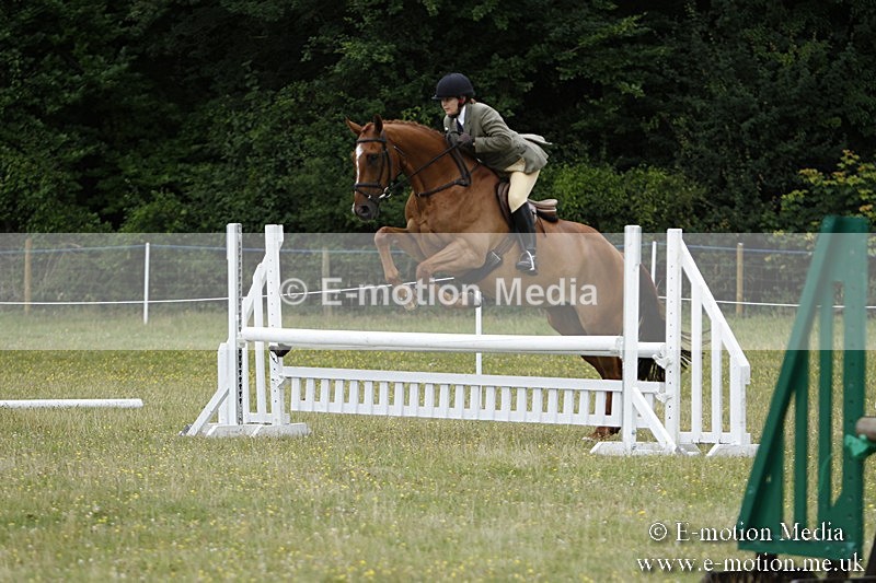 BVR160717-1713 - Ring 3 BVRC Show 16/07/17