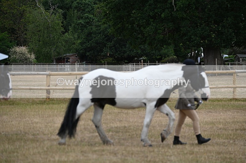 WJ6_7837 - Class 10 Coloured in Hand