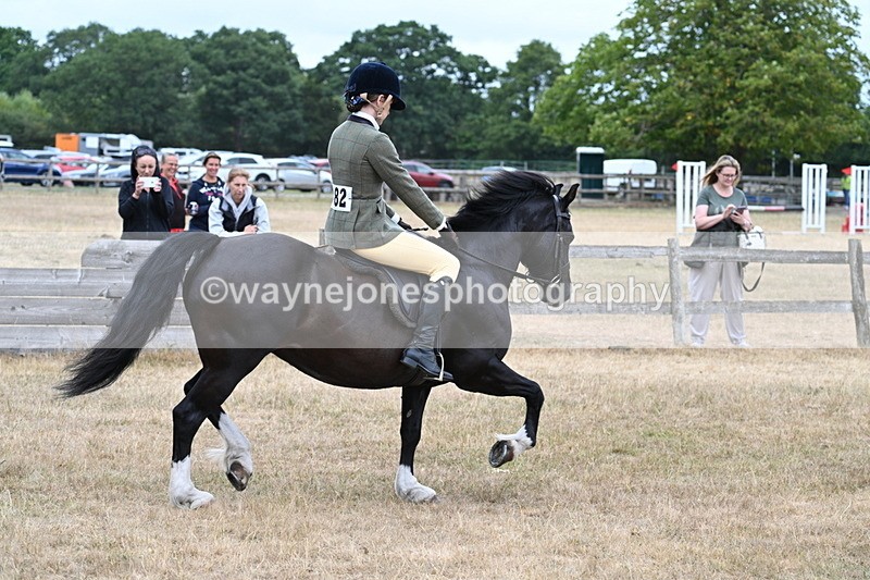 WJ7_0465 - Class 6 Ridden Mountain and Moorland