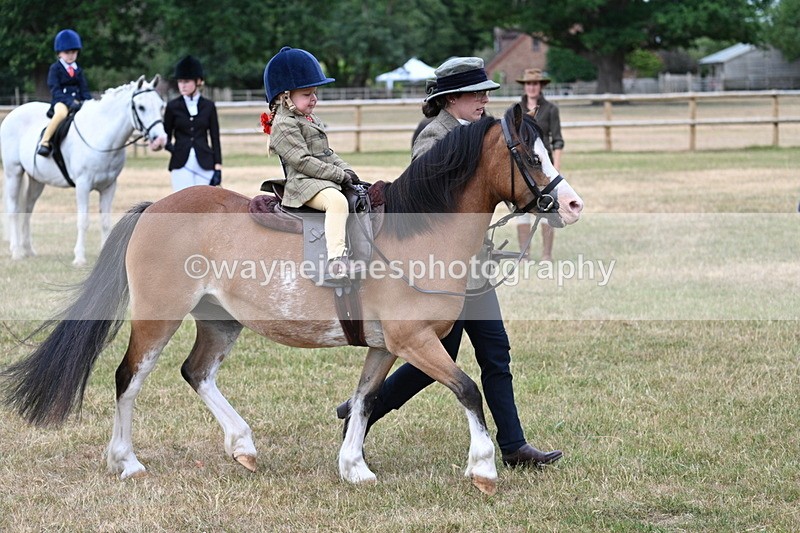 WJ7_9801 - Class 1 Lead Rein Pony