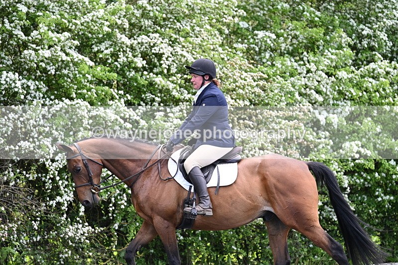 WJ7_8973 - Time 11:32 to 11:54