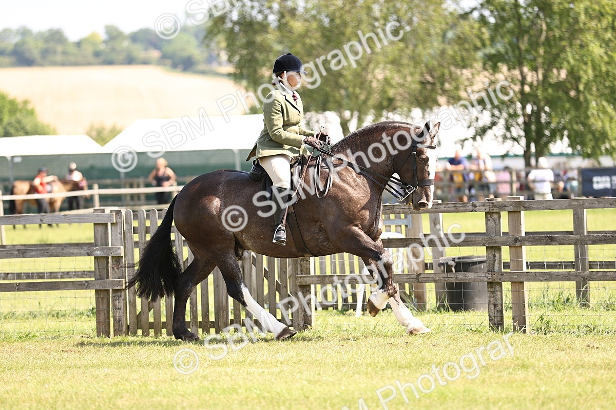 SBM_13709 - Class 77 - LIHS BSHA Rising Star Cobs