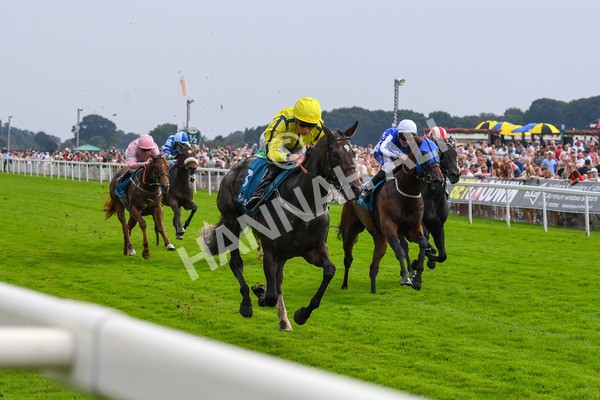 100923-Race 4-Tropical Island-0778 - Race 4 3.15pm Edge Windows Nursery Handicap at York