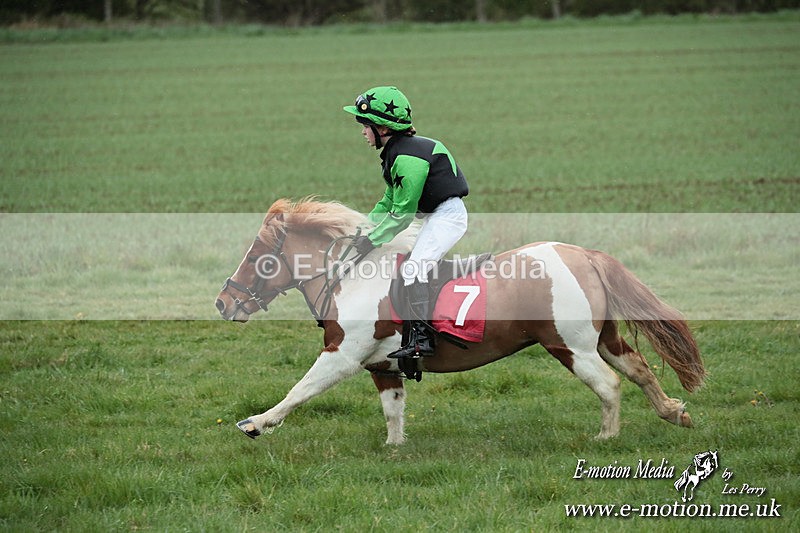 SHETPR 210425 231 - Shetland Ponies Paxford Races 21/04/25