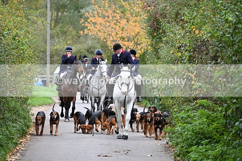 WJ6_8326 - Walk Home..