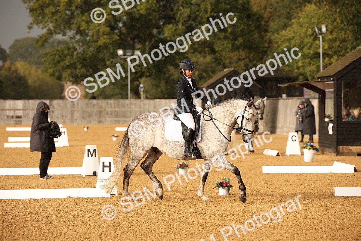 SBM_12359 - D3 Small  Tour Championship Intro A