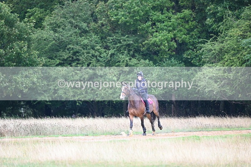 DSC_3909 - Time at Statue 14:56 to 15:05