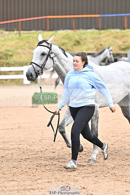 240718A-105323-01928 - Trot Up 2pm to 3pm - This folder is not in time order