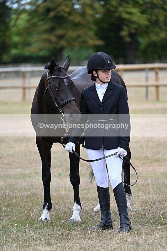 WJ7_9235 - Class 4a Prettiest Mare 14.2hh and over