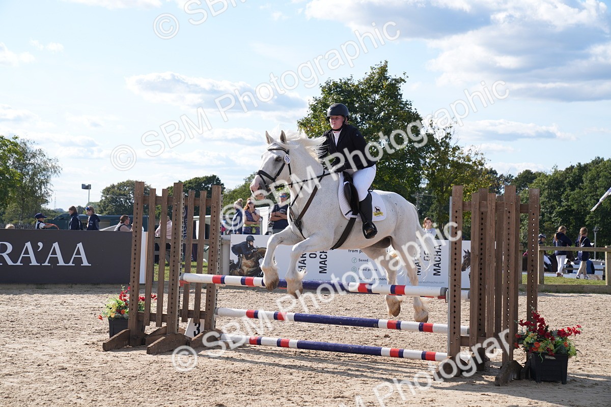 SBM_26057 - J61 - Clear Round 75cm & 85cm