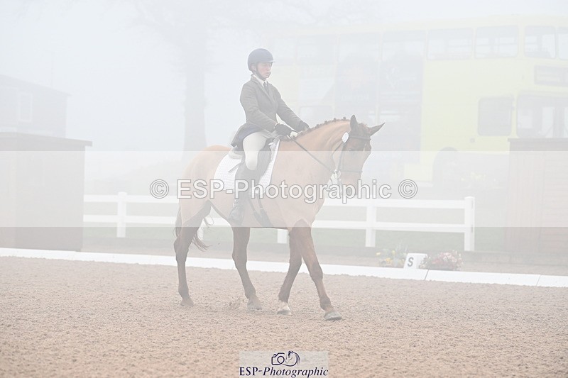 240217A-130649-02755 - 239-Sophie.Hawke-Dionysus