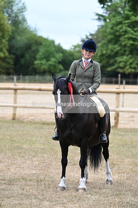 WJ7_0677 - Class 6 Ridden Mountain and Moorland