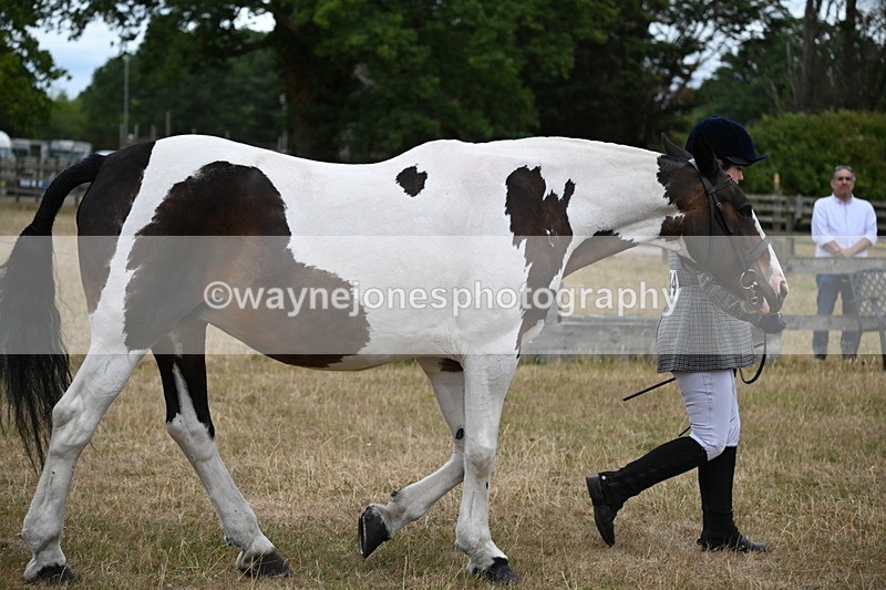 WJ6_8275 - Class 10 Coloured in Hand