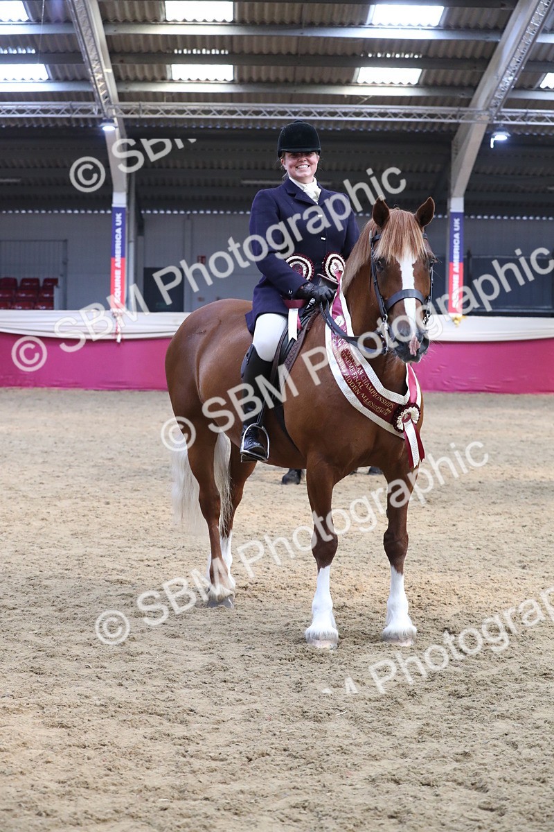 SBM_16516 - Class 502 M&M Ridden Supreme Final