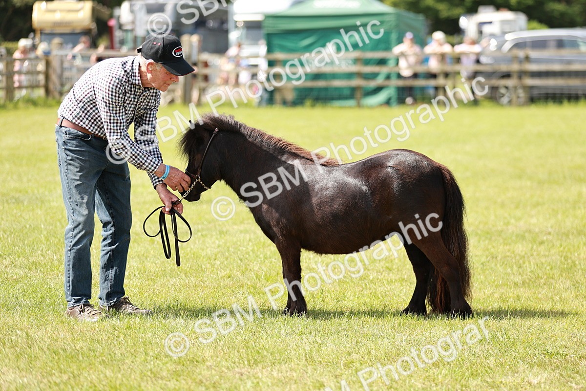 SBM_02457 - Class 14-23 - Mountain & Moorland In Hand Non Welsh