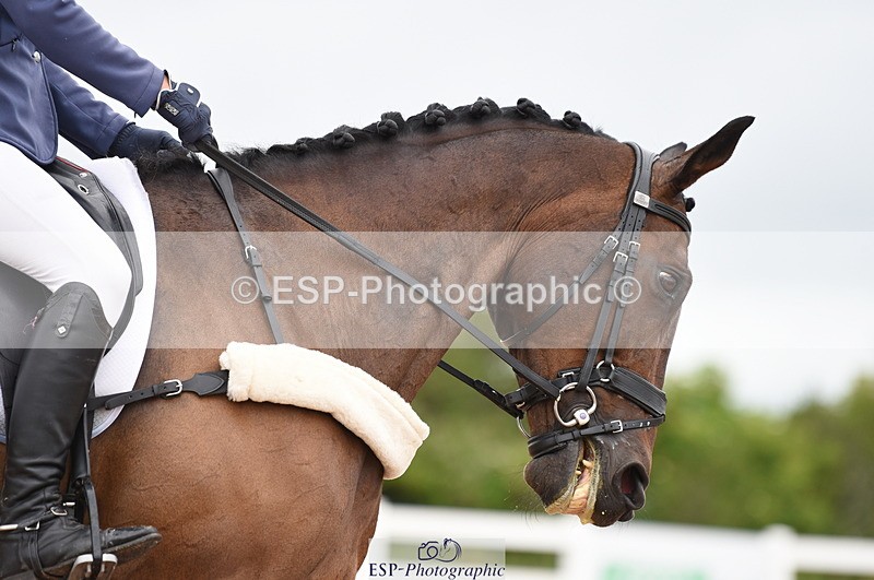 230630A-152216-03153 - Cls 7 Elementary 44 + Medium 71