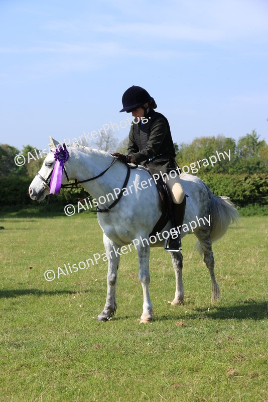 20250427-0595 - Class 17 - Novice Showing