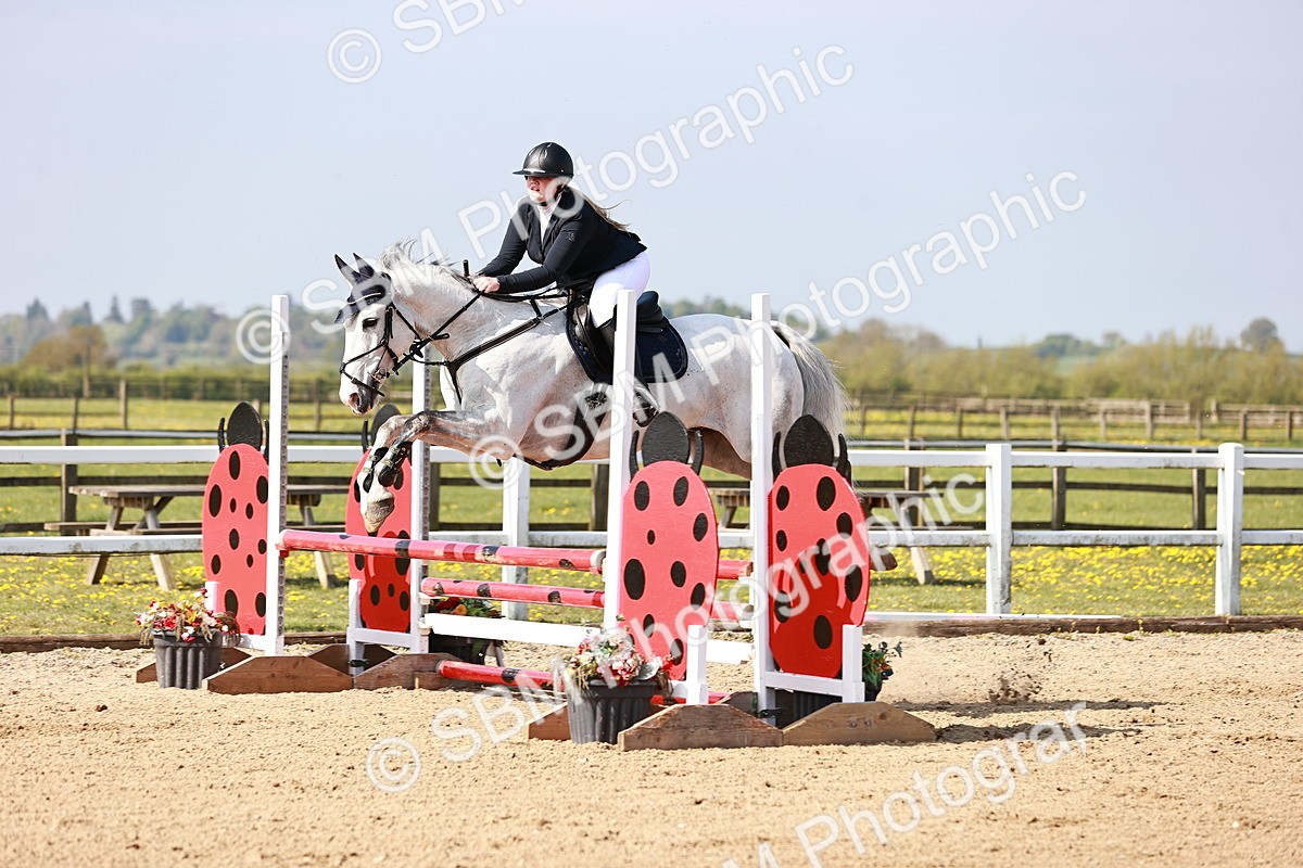  - Class 21 - Senior British Novice - 90cm